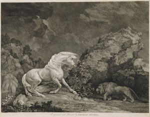 En hest skremt av en løve, gravert av kunstneren