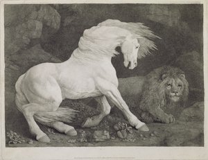 A Horse Frighted by a Lion, gravert av kunstneren, pub. 1788 av George Stubbs