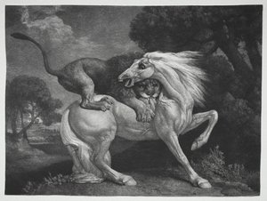 En hest angrepet av en løve av George Stubbs