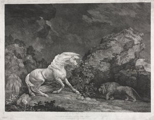 En hest som er skremt av en løve av George Stubbs