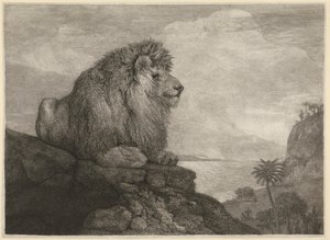 En løve [En løve hviler på en stein] av George Stubbs