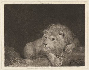 En løve [En liggende løve] av George Stubbs