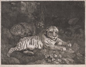En tiger og en sovende leopard av George Stubbs