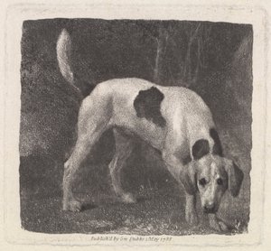 Hund [En revehund på duften] av George Stubbs