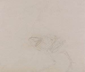 Dorking Hen Body, Lateral View (Studie av musklene i kroppen og lemmer på et senere stadium av disseksjon) av George Stubbs