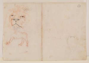 Hodet til en løve, verso, 1700- eller 1800-tallet av George Stubbs