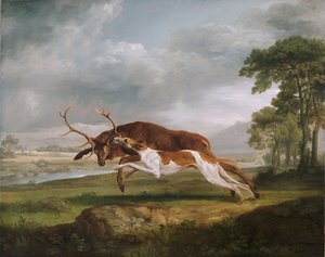 Hound Coursing en hjort av George Stubbs