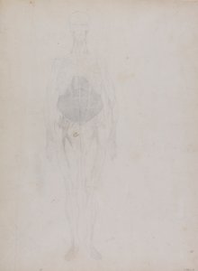 Menneskeskikkelse, forfra (stort sett i omriss) av George Stubbs