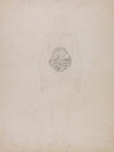 Menneskeskikkelse, forfra (konturtegning) av George Stubbs