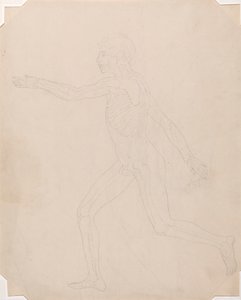 Menneskeskikkelse, sidevisning av George Stubbs