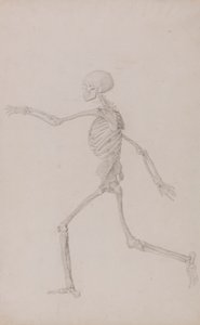 Menneskeskjelett, sett fra venstre, løpende (ferdig studie for tabell III) av George Stubbs