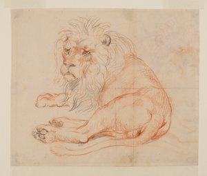 Løve hviler, recto, 1700- eller 1800-tallet av George Stubbs