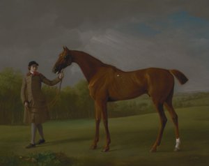  av George Stubbs