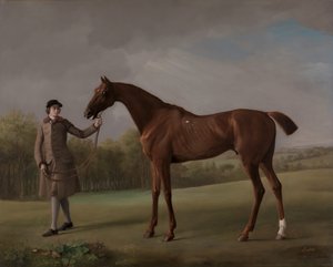 Lustre, holdt av en brudgom, ca. 1762. av George Stubbs