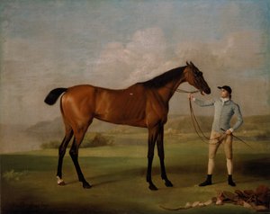  av George Stubbs