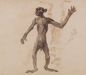 Monkey Stående, Forfra av George Stubbs