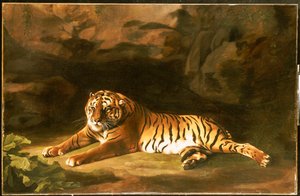 Portrett av den kongelige tiger, ca. 1770