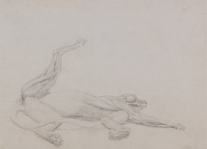 Studie av en tiger, liggende, sett ventralt, fra en sammenlignende anatomisk utstilling av strukturen til menneskekroppen med den til en tiger og en fugl, 1795-1806 (grafitt på tynn vevd papir) av George Stubbs