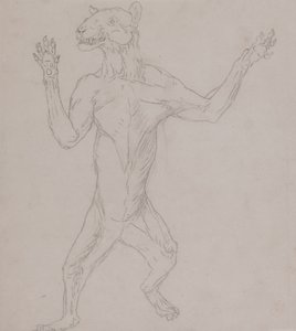 Studie av en tiger, stående i menneskelig holdning, fra en sammenlignende anatomisk utstilling av strukturen til menneskekroppen med den til en tiger og en fugl, 1795-1806 (grafitt på tynt vevd papir) av George Stubbs