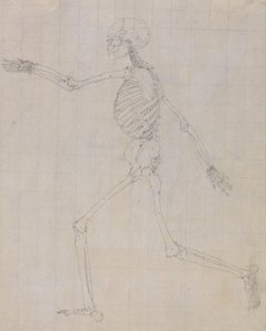 Studie av den menneskelige figuren, sidevisning, avsluttet studie for tabell III, fra En sammenlignende anatomisk utstilling av strukturen til menneskekroppen med strukturen til en tiger og en fugl, 1795-1806 (gr. av George Stubbs