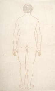 Studie av den menneskelige figuren, posteriort syn, fra en sammenlignende anatomisk utstilling av strukturen til menneskekroppen med strukturen til en tiger og en fugl, ca. 1795-1806 (blekk på papir) av George Stubbs
