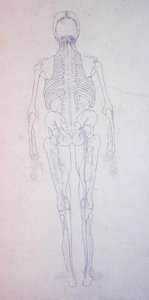 Studie av den menneskelige figuren, posteriort syn, fra en sammenlignende anatomisk utstilling av strukturen til menneskekroppen med strukturen til en tiger og en fugl, ca. 1795-1806 (grafitt på papir) av George Stubbs