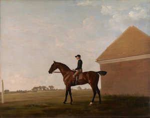 Turf, med Jockey opp, på Newmarket, ca. 1766. av George Stubbs