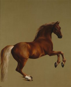 Whistlejacket av George Stubbs
