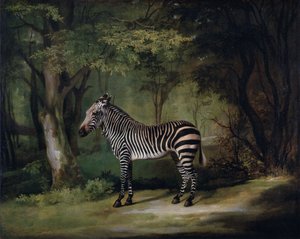  av George Stubbs