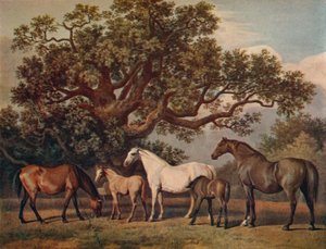 Brood Mares and Foals, sent på 1700-tallet, 1922