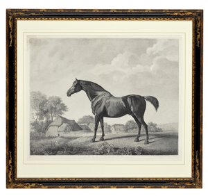 Sweetbrier (stippgravering)