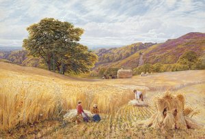 Høstetid nær Holmbury Hill, Surrey, 1865 (wc og kroppsfarge på papir)