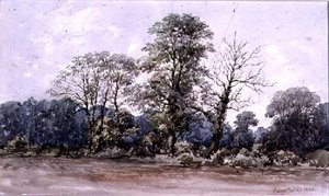 Trær på Perry Bar nær Birmingham, 1800-tallet