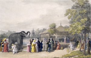 Elefanthuset ved Zoological Gardens, Regent