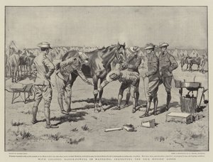 Med oberst Baden-Powell i Mafeking, inspiserer de syke hestelinjene