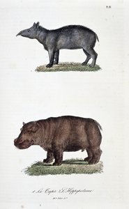 Naturhistorisk styre: Zoologisk styre som representerer 1. Tapiren og 2. L