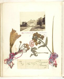 Uten tittel [utsikt over Broadlands med tørkede blomster], 1868.