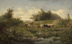 Kyr ved en dam