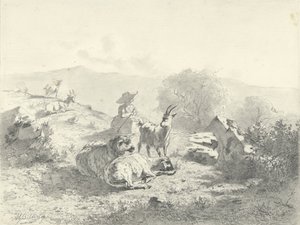 Gjeterinne med geiter og sauer i fjellandskap