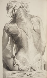 Anatomy of the Human Body av Govard Bidloo, 1685