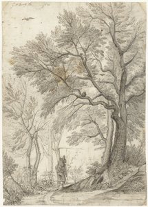 Forest of the Villa Madama utenfor Roma