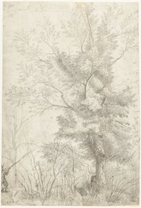 Forest of the Villa Madama utenfor Roma, med en skytejeger