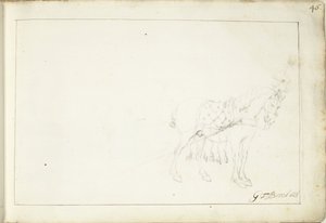 Hest, ikke sant av Gerard ter Borch (II) (signed by artist)