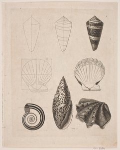 Tavle med snegler av Gerhard Ludvig Lahde