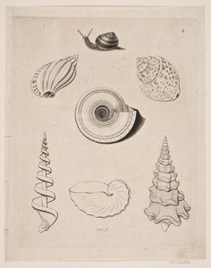 Tavle med snegler av Gerhard Ludvig Lahde