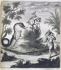 En fryktelig drage, ca. 1660 av German School