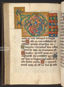 Legge til. 60629, f.43v Store innrammede initialer i gull og farger med foliate og noen ganger zoomorphic og antropomorphic ornament (vellum) av German School