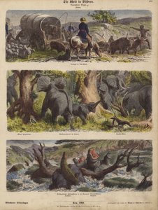 Afrika (farget gravering) av German School