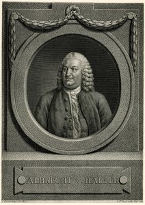 Albert von Haller av German School
