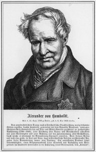Alexander von Humboldt (gravering) av German School